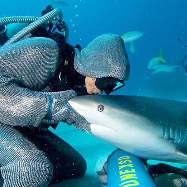 SharkiesOTD's tweet photo. ♡ If you're feeling down, just remember...

...sharks make friends with divers! https://t.co/gXIaY6wDjw