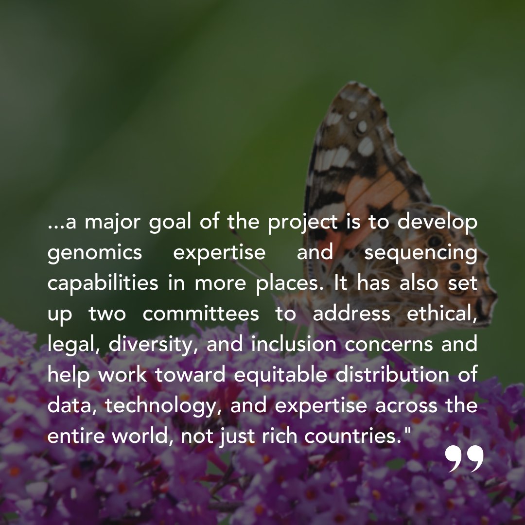 Earth BioGenome Project (@ebpgenome) on Twitter photo Freshly released article in <a href="/ScienceMagazine/">Science Magazine</a> discussing Phase I & II of the EBP 🧬
#genomics #genome #science #biology #dna
<a href="/darwintreelife/">Darwin Tree of Life</a> <a href="/AnneMuigai_Prof/">Prof Anne Muigai</a> <a href="/blaxterlab/">Blaxter Lab</a> @1000genomascl <a href="/SadyePaez/">Sadye Páez María (she|her|ella)</a> <a href="/AlexandreAlei20/">Alexandre Aleixo</a> <a href="/ScienceMagazine/">Science Magazine</a>
Link:
science.org/content/articl… Freshly released article in <a href="/ScienceMagazine/">Science Magazine</a> discussing Phase I & II of the EBP 🧬
#genomics #genome #science #biology #dna
<a href="/darwintreelife/">Darwin Tree of Life</a> <a href="/AnneMuigai_Prof/">Prof Anne Muigai</a> <a href="/blaxterlab/">Blaxter Lab</a> @1000genomascl <a href="/SadyePaez/">Sadye Páez María (she|her|ella)</a> <a href="/AlexandreAlei20/">Alexandre Aleixo</a> <a href="/ScienceMagazine/">Science Magazine</a>
Link:
science.org/content/articl…