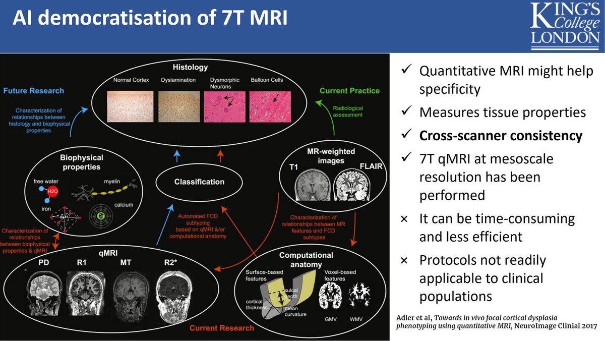 Irene Wang, PhD, FAES tweet media
