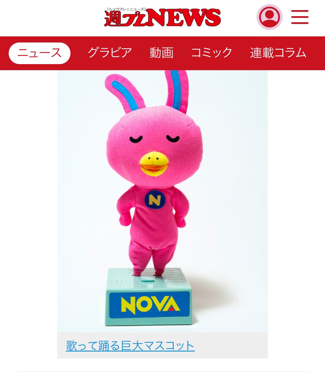 プロフ読んで下さい。うさぎ ☆BANNNE 170☆ Amazon.co.jp: ゼンゼロ うさぎ 人形 ボンプ ぬいぐるみ 非公式