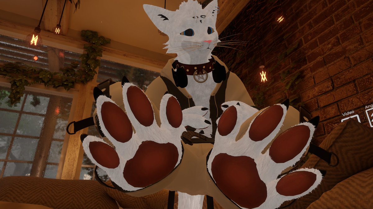 fuzzinko's tweet photo. heyo you looks tired and looking on my paws owo do you need me to put you in sleep with my paws? there you go https://t.co/RzLw9buTPt