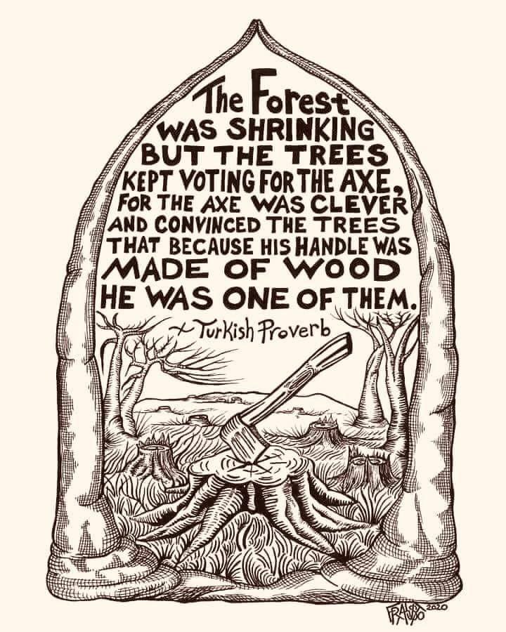 WitneyBees 💙's Bees tweet media