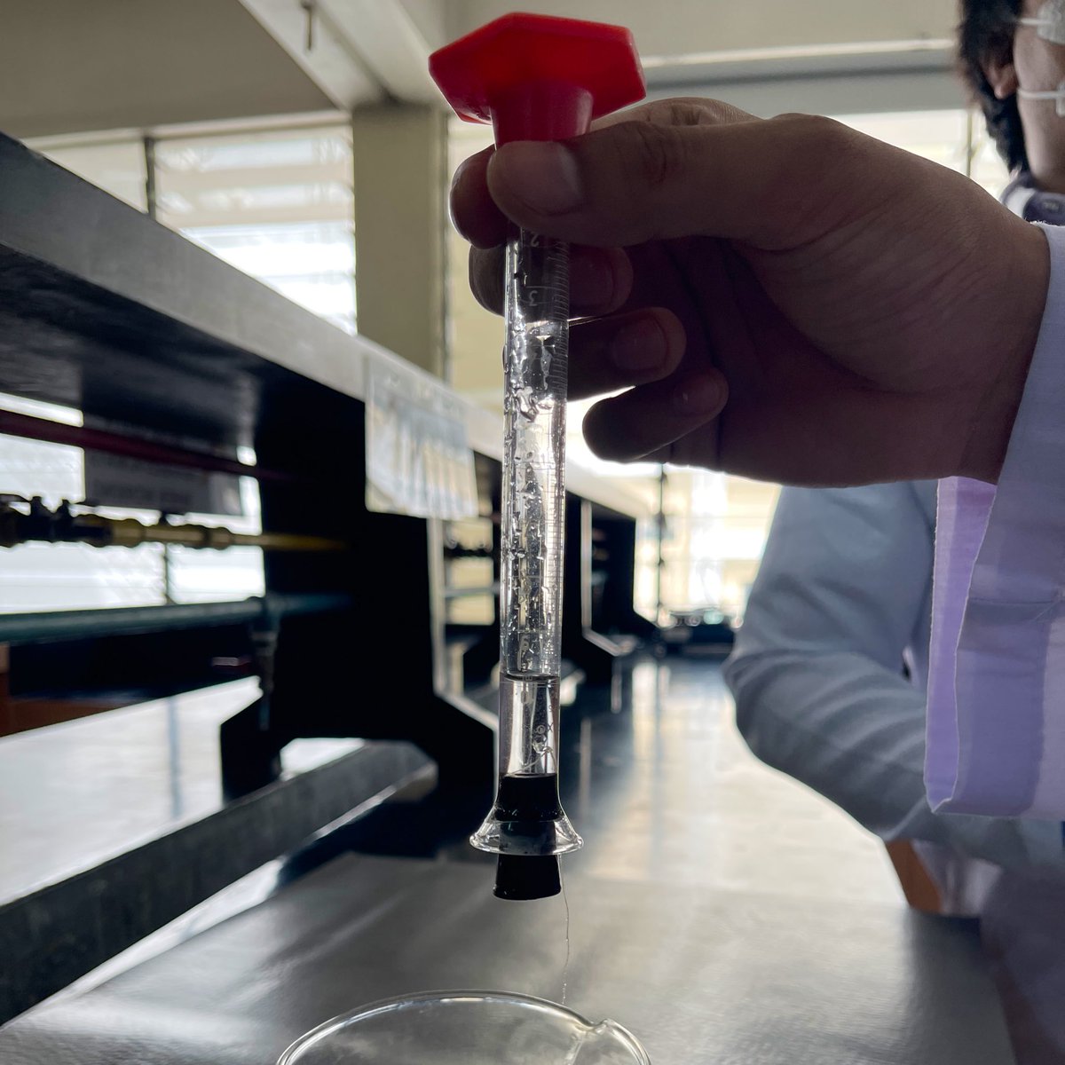 cettorhinus's tweet photo. labwork https://t.co/L9KdRCYdi1