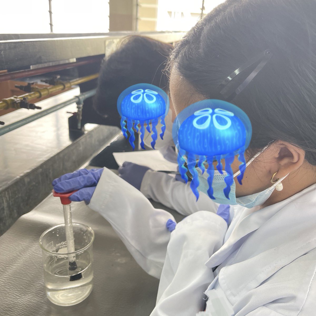 cettorhinus's tweet photo. labwork https://t.co/L9KdRCYdi1