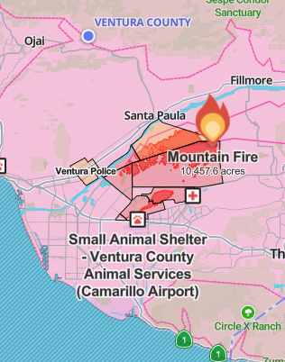 READnonprofit's tweet photo. Thoughts and prayers to those impacted by the Mountain Fire in Ventura County, CA. At 4pm PST, the fire is well over 10,000 acres with many homes damaged. 
Donate to help students in need: https://t.co/jtsrB93G4j
#wildfires  #educationmatters #disasterrelief #mountainfire https://t.co/Bqv8CFpZmB