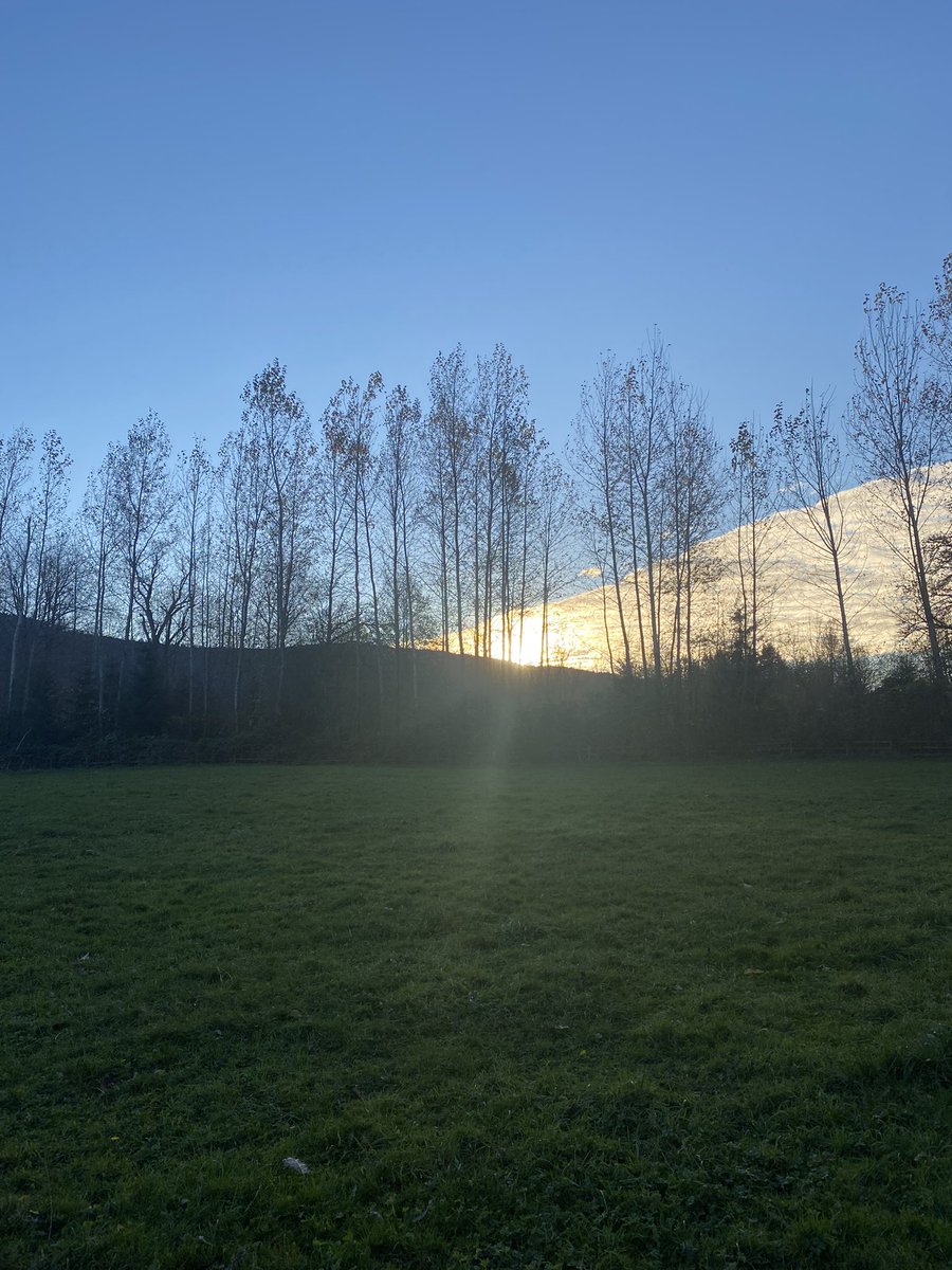 The day after America proves once again we are trash, we go for a walk in the woods