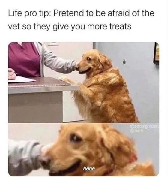 WholesomeMeme's tweet photo. https://t.co/LLIij8RdhX