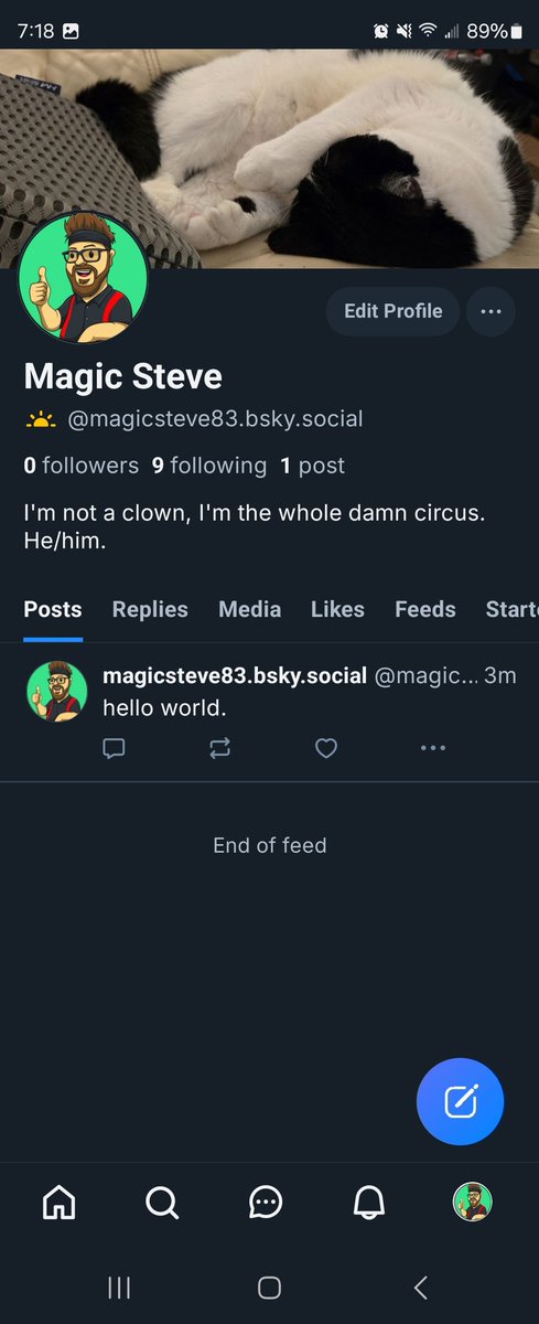 Magic Steve tweet media