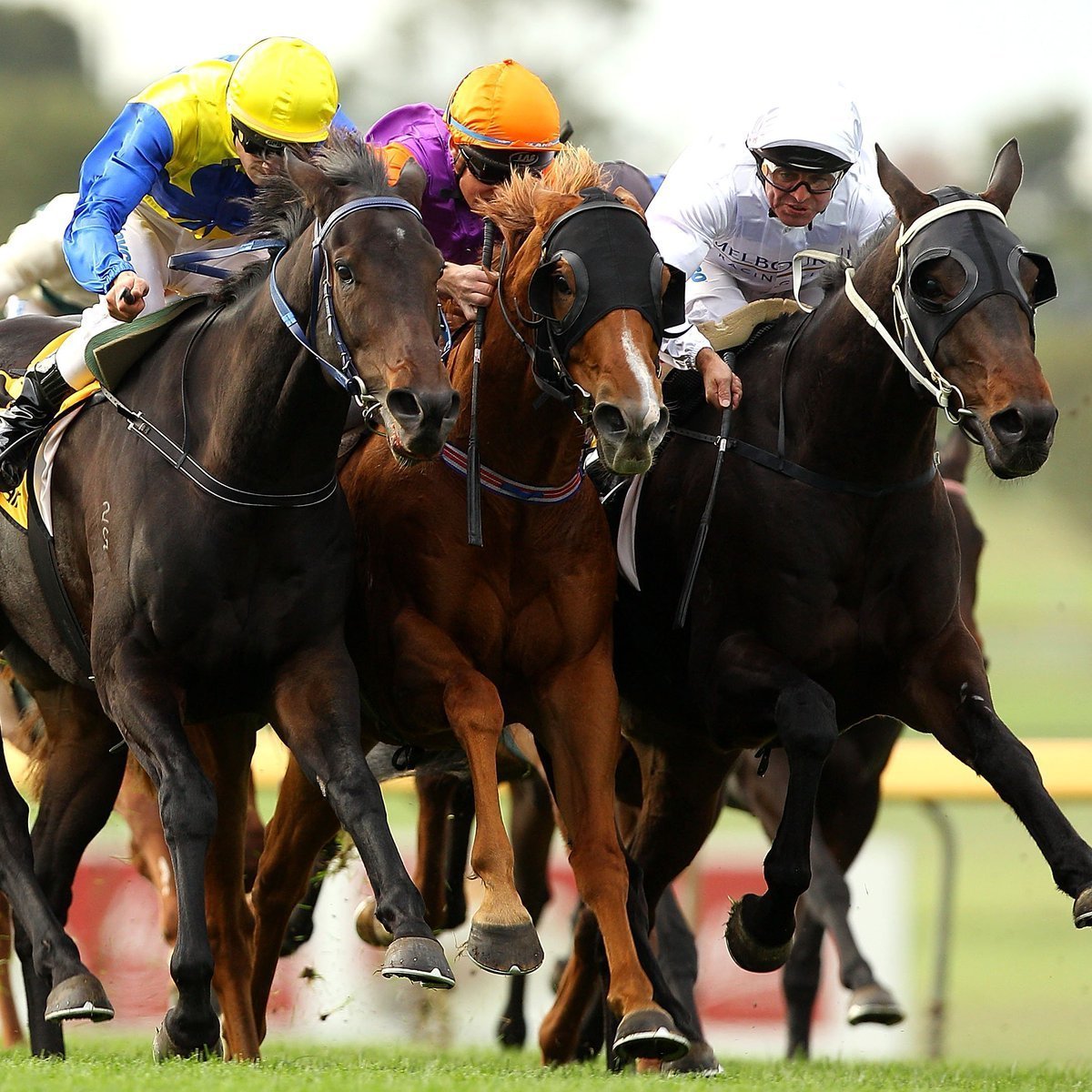 bet365_aus's tweet image. 🚨 Well-supported runners:

#Ipswich
R1. Metcalfe $4.20👉$2.40

#Northam
R1. Lucky I Am $3.40👉$1.75
R4. What's The Point $12👉$4.80
R6. Capre Omnia $4.40👉$2.50

▶️ bit.ly/4a1aAim.

What are you prepared to lose today? Set a deposit limit.