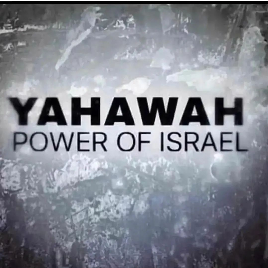 bracherpta's tweet image. 