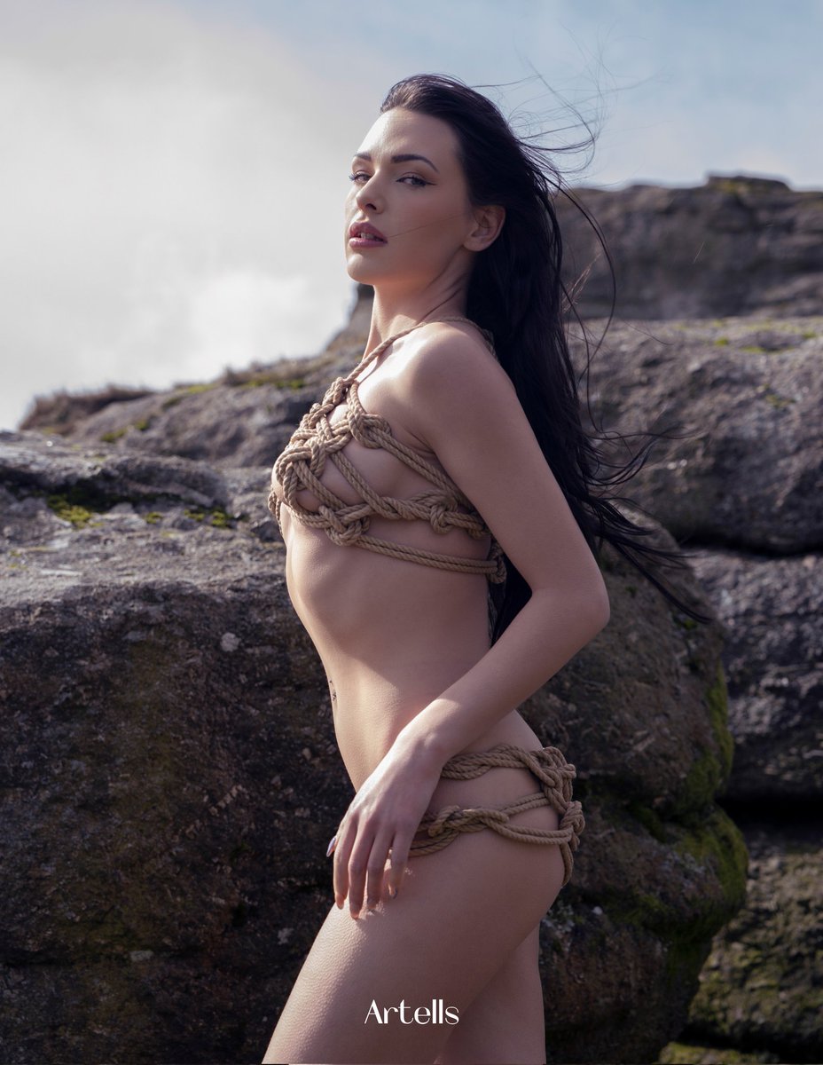 JaredShibari's tweet image. 