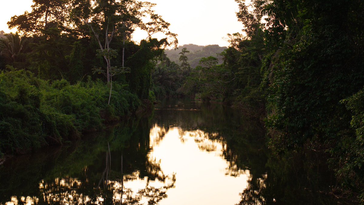 #belize #travelphotography #travelgram #travelbelize #familyvacation #explorebelize #adventuretravel #adventure #belizevacation #jungleviews #sunset #sunsetphotography #photooftheday
