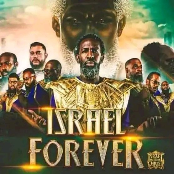 bracherpta's tweet image. 