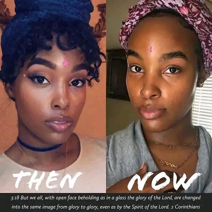 bracherpta's tweet image. 