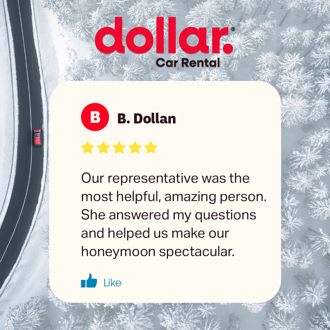 Dollar Car Rental tweet media