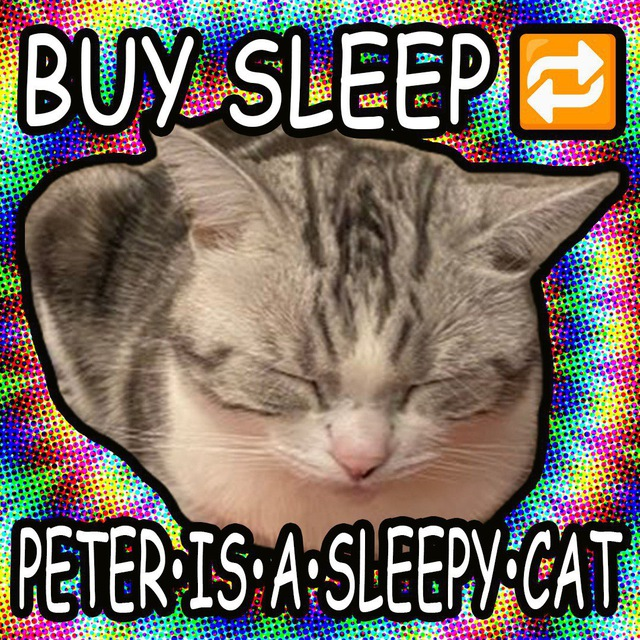 paoe's tweet photo. meow meow meow 😼 @petersleepycat https://t.co/MSONoct4B6