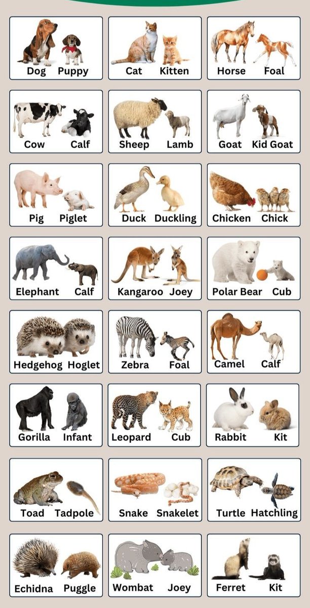 English grammar (@knowiiiedge) on Twitter photo 