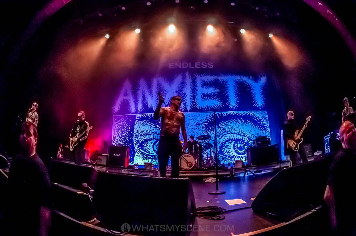 What's My Scene tweet media