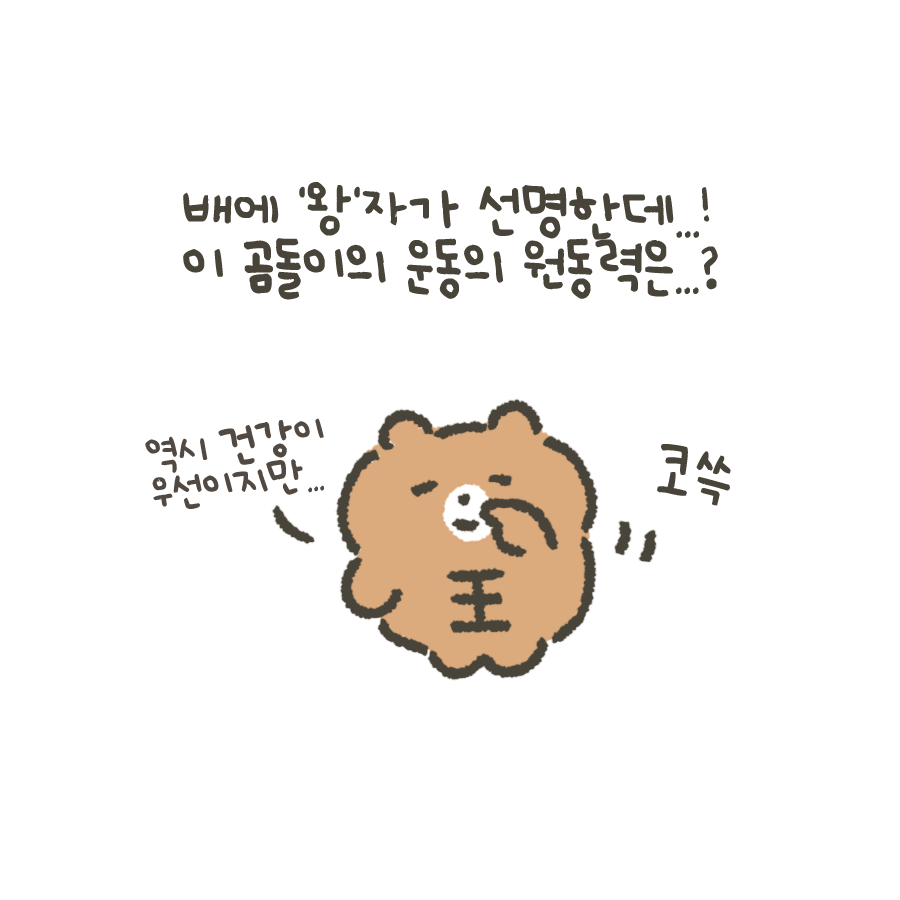 뽀실곰 tweet media