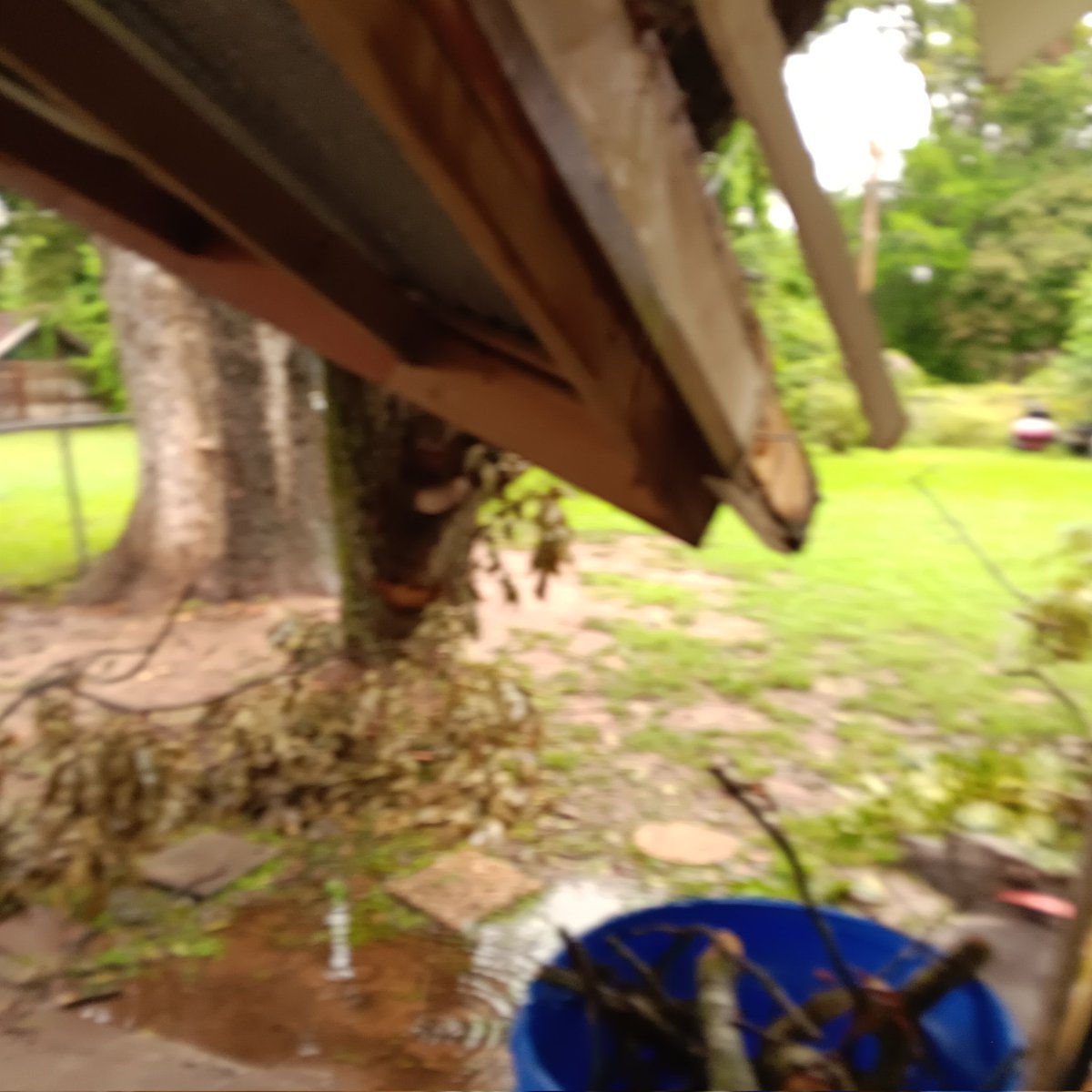 Kiss my ass tweet media