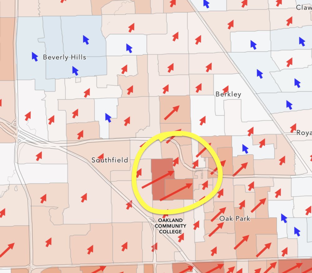 umichvoter's tweet image. On the left: Orthodox Jewish precincts in Michigan swinging 20% towards to Trump

On the right: Arab/Bangladeshi precincts in Michigan swinging 70% towards to Trump