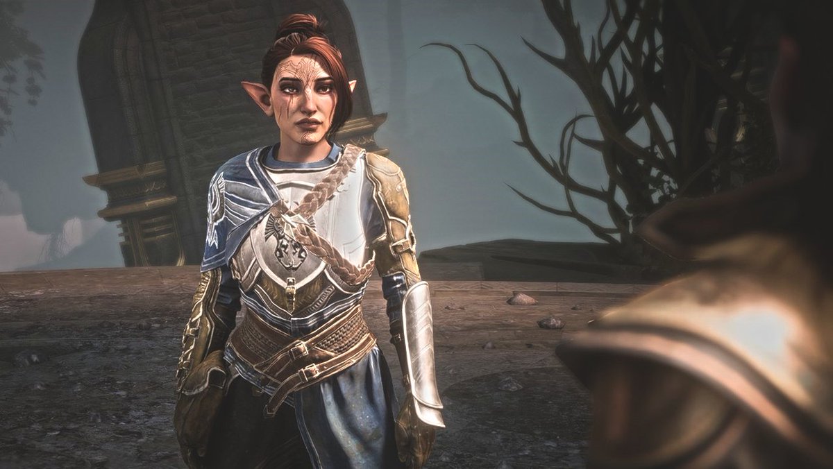 merlinmoth's tweet photo. #veilguardspoilers #rookreveal 
finished my first run as all-warden-all-times with tel'ahn thorne 💙💙💙 10/10 would punch my boss in the face again https://t.co/mTZ3Zgj9Py
