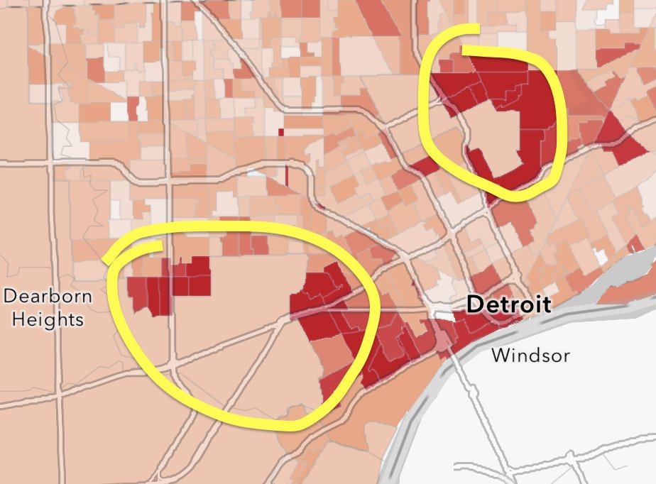 umichvoter's tweet image. On the left: Orthodox Jewish precincts in Michigan swinging 20% towards to Trump

On the right: Arab/Bangladeshi precincts in Michigan swinging 70% towards to Trump
