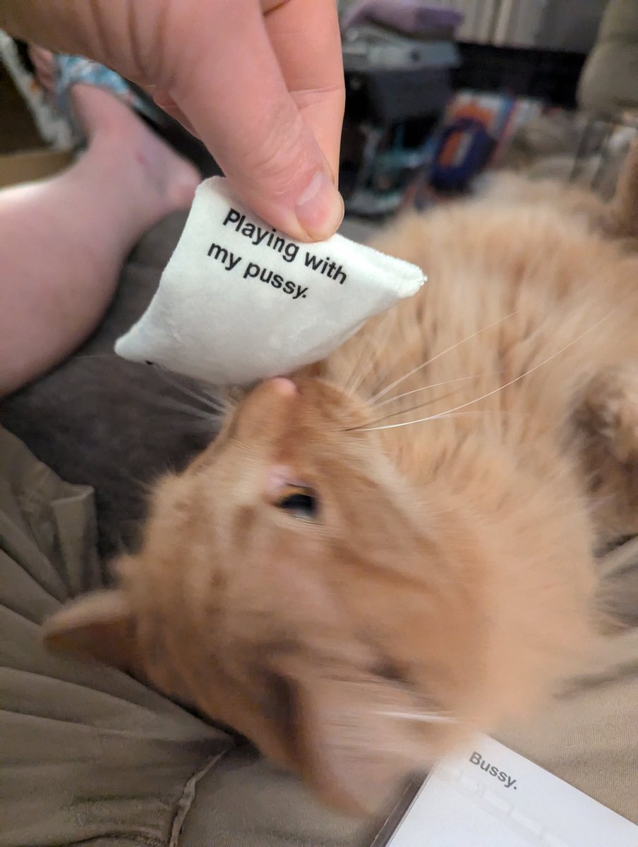 Ginger Tiki tweet media