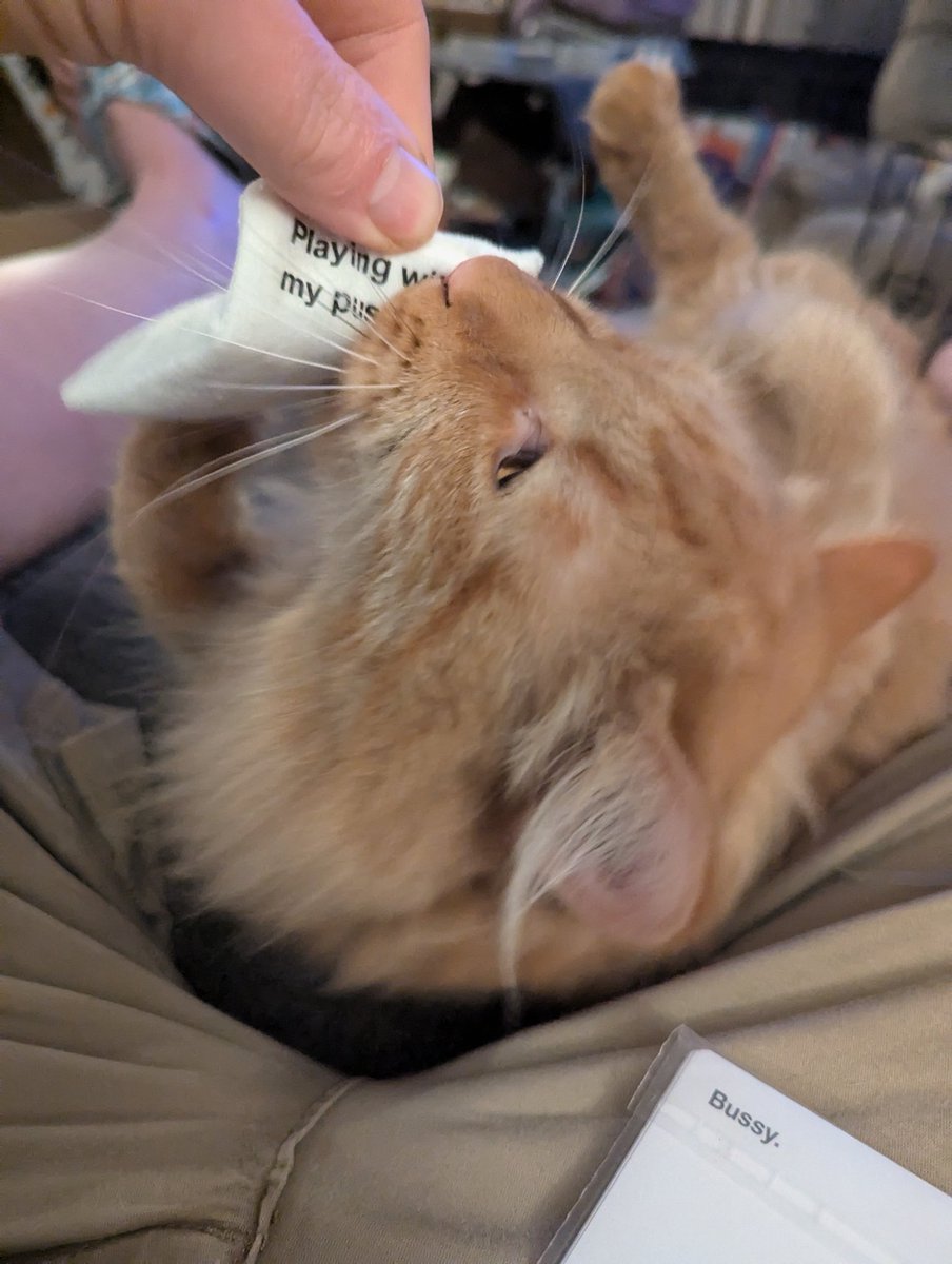 Ginger Tiki tweet media