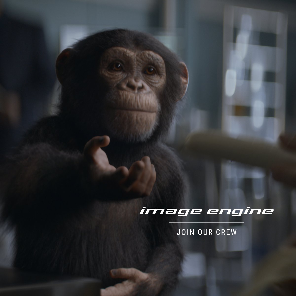 ImageEngine's tweet image. J O B S - Are you ready to take the lead in look development? #ImageEngine is hiring, apply now 👉 imageengine.bamboohr.com/careers/164
✨ Position: Lead Look Development Artist
✨ Location: British Columbia (BC-based applicants only)
#VFXJobs #Hiring #LookDev #BCJobs #VFXArtist