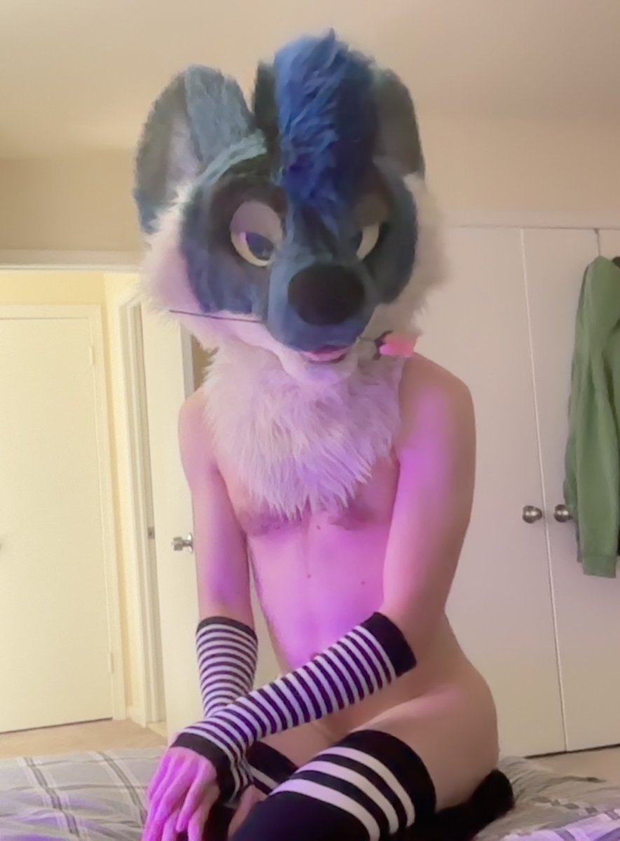 🐶✨️Star✨️🏳️🌈 (@staradder8) on Twitter photo The world can be a dark cruel place, but there are people who love you.
#gayrights
#furryfandom The world can be a dark cruel place, but there are people who love you.
#gayrights
#furryfandom