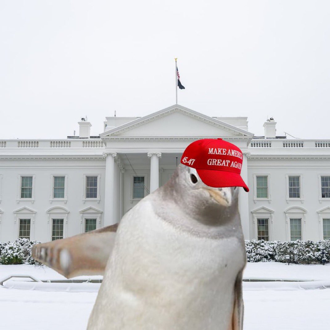 Make America great again