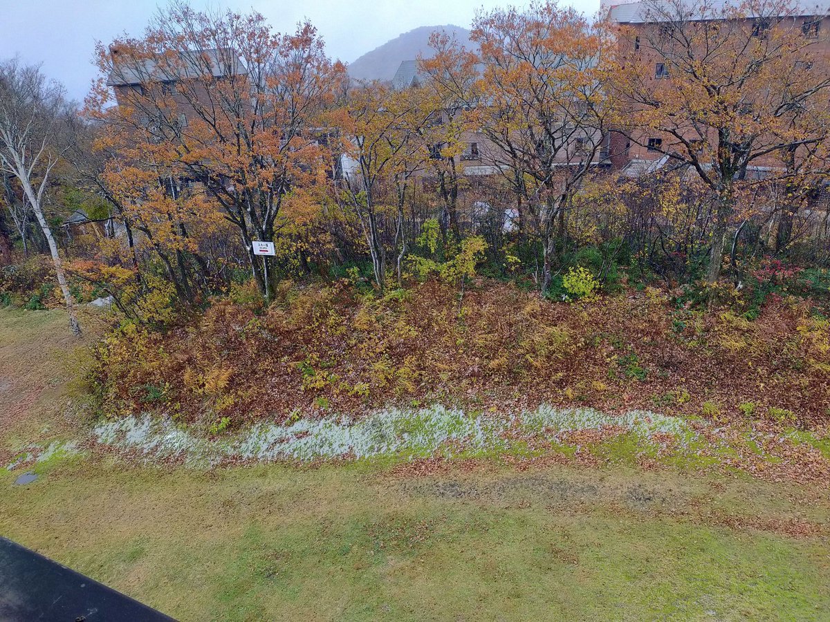 初雪です。Not a lot, but at least the temps are now heading in the right direction.

Snow Reports: madaraosnowreport.com
Webcams: madarao.webcam
Resort info: madaraokogen.com/ski/

#Madarao #Madaraoweather #Madaraosnowreport #Madaraokogen #斑尾高原 #斑尾 #斑尾高原