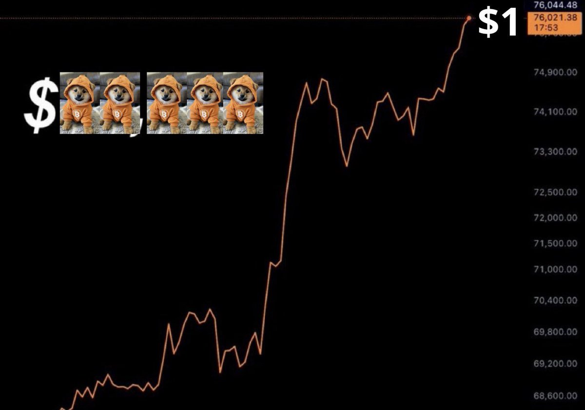 DOG doginals tweet media