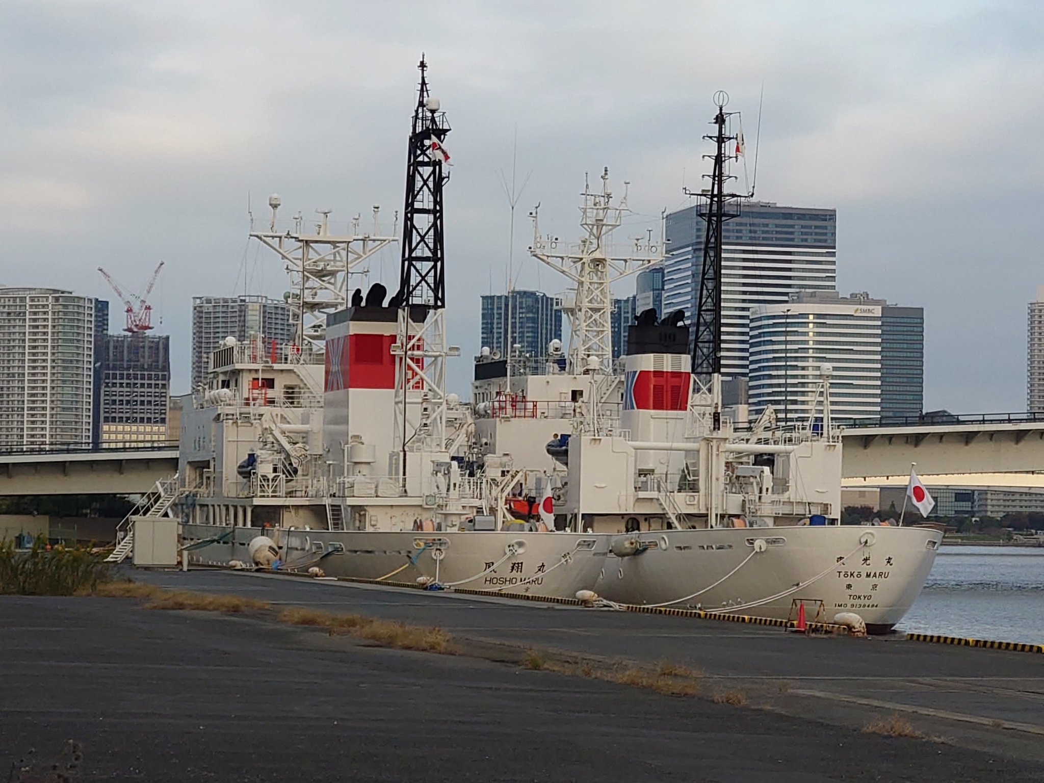 晴海地区⚓ on X: 
