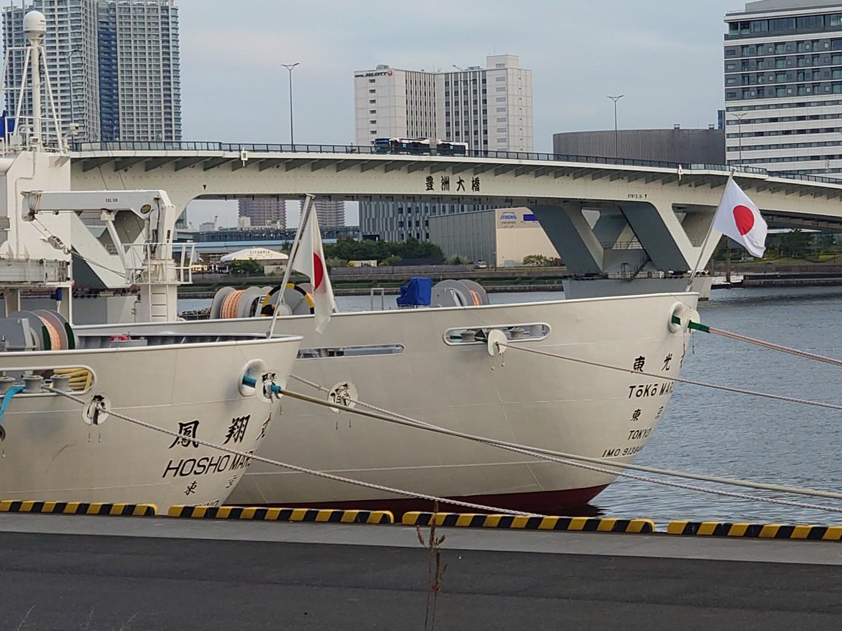 晴海地区⚓ on X: 