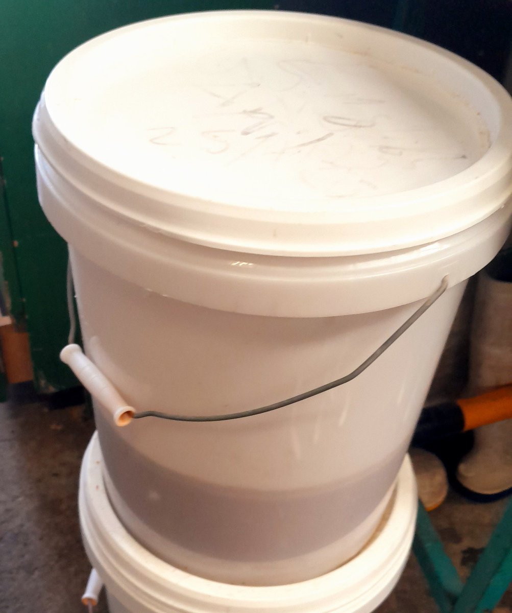 Northendbrewing's tweet photo. We are working on something strong and Belgian inspired for Christmas. First step we wake up our multi-strain yeast blend in a bucket. Strains originating at Orval, Achouffe, Chimay and Westmalle are getting to know each other. https://t.co/QYmW6PBe1q