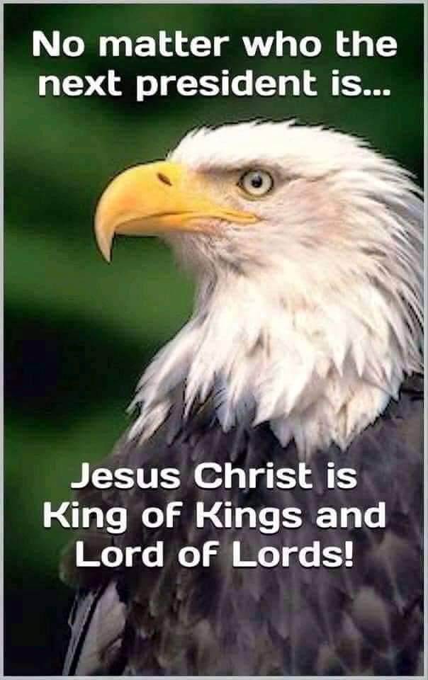 RJSaunders1969's tweet image. 