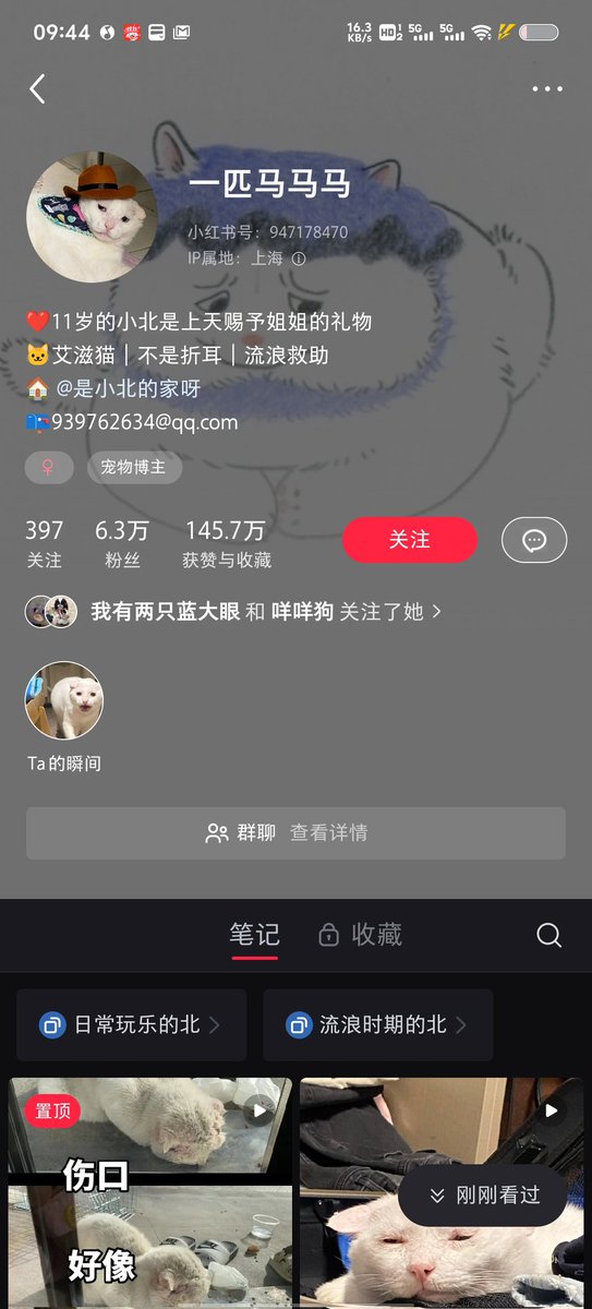 DeepFriedChickenWings tweet media