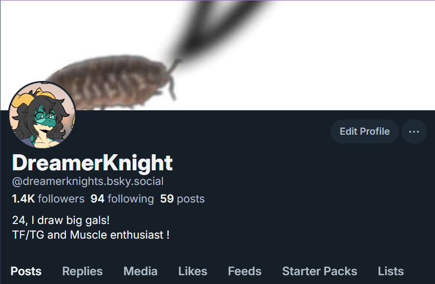 DreamerKnight (@DreamerKnights) / Posts / X