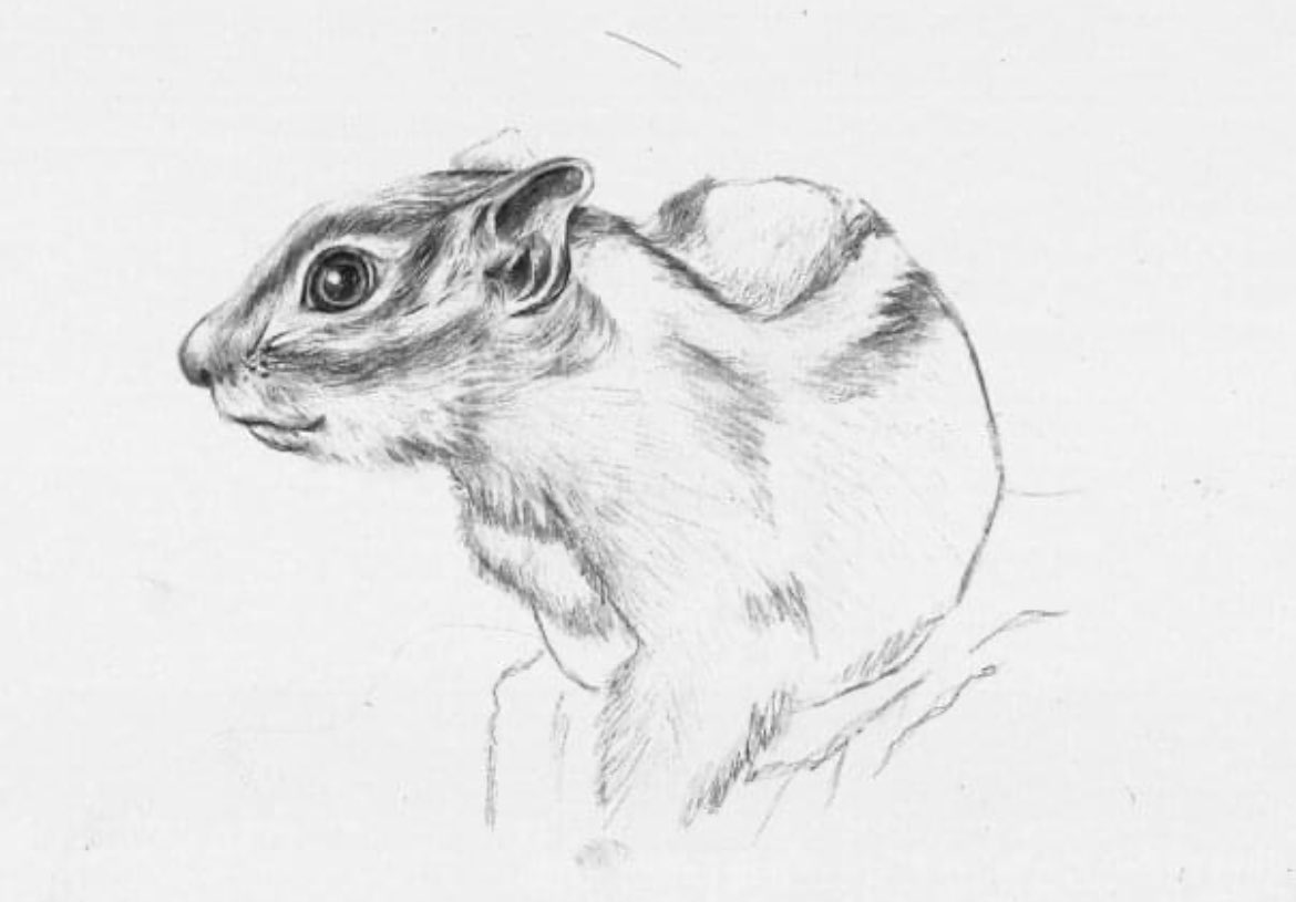 Andrea Kuszewski 🧠 tweet media