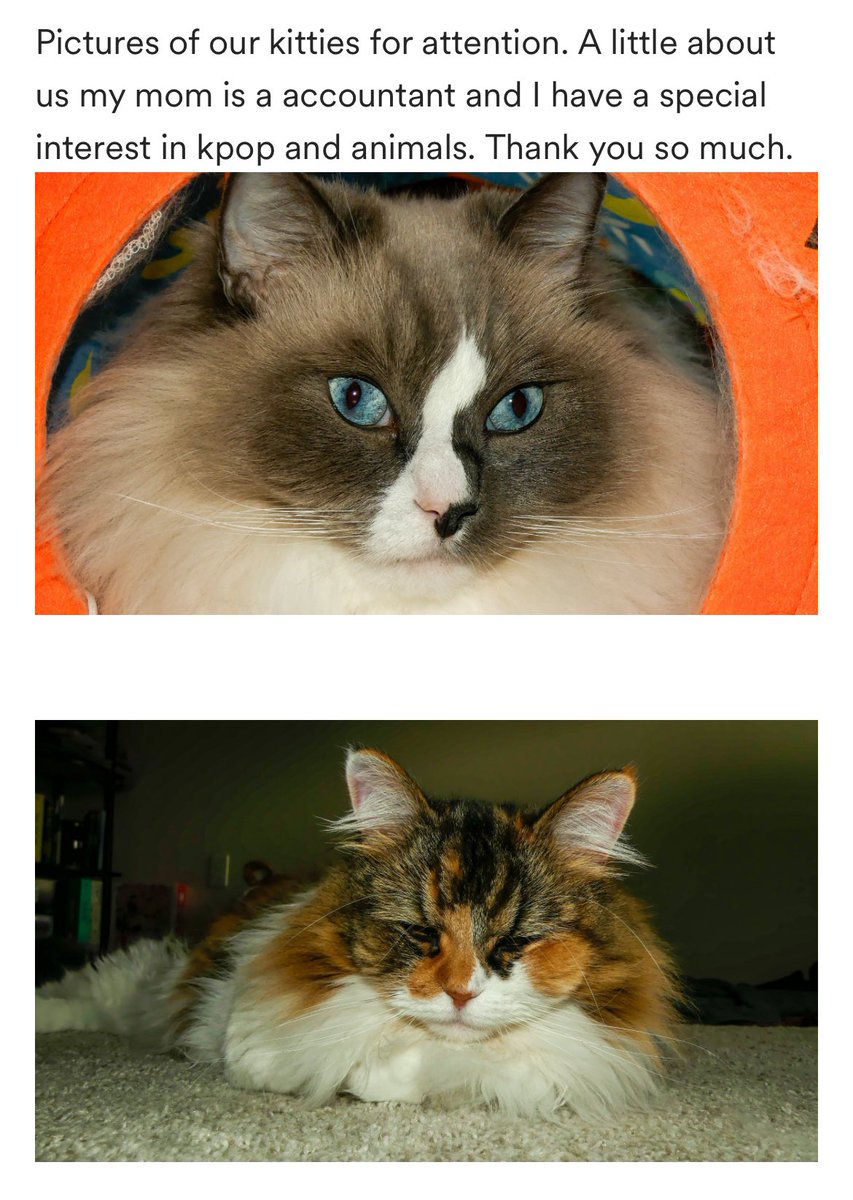 URGENT HELP NEEDED FOR FELLOW STAY 🧵:

Sam is a transmasc AuDHD disabled person living in Florida with faer mother. After his mom lost her job, they have been homeless and living in tents with their pets in state parks for months. Hurricane Helene took any savings they had.