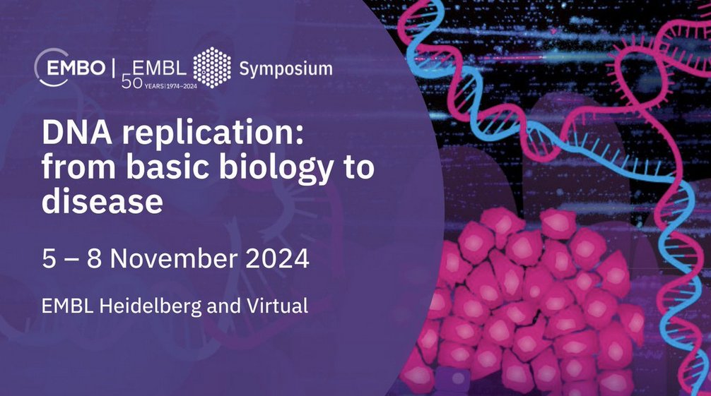 FEBS_Letters's tweet image. 🧬Looking forward to the #DNAreplication meeting @embl 'ATC' (Advanced Training Centre) in Heidelberg

🎙Today's session features talks on
🔎#ReplicationStress 
🔎#ReplicationFork stability

#EESreplication @EMBLEvents