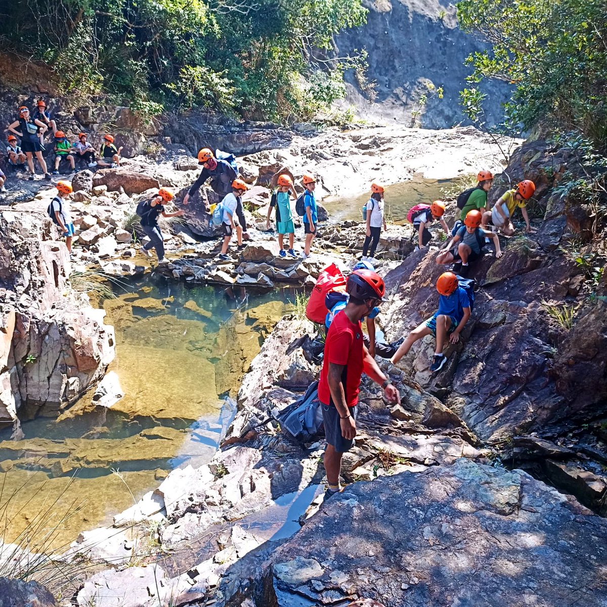ESFGlenealy's tweet photo. 🌟 Year 5 is embracing a day full of learning and challenges at Tai Tam! 🎉 They're diving into new skills and pushing their limits. Exciting adventures all around! 💪✨ https://t.co/WfRHNU8Tfh