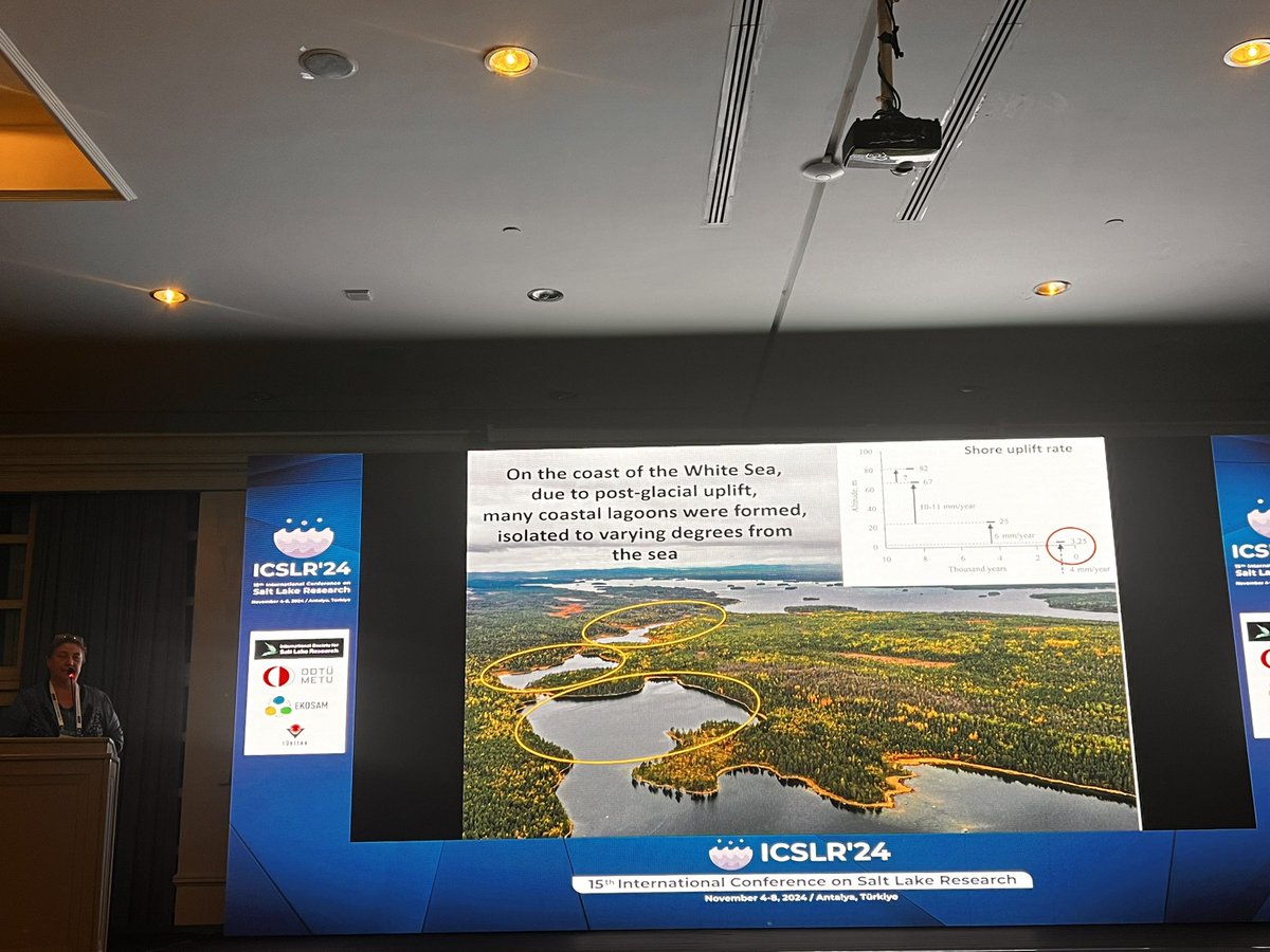 Meryem Beklioglu tweet media