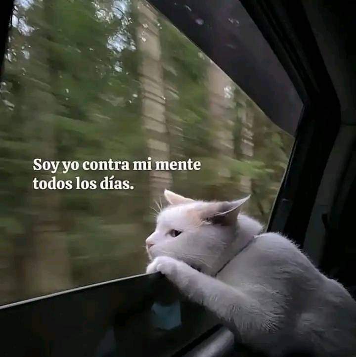 En Júpiter (@en_jupiter_) on Twitter photo 
