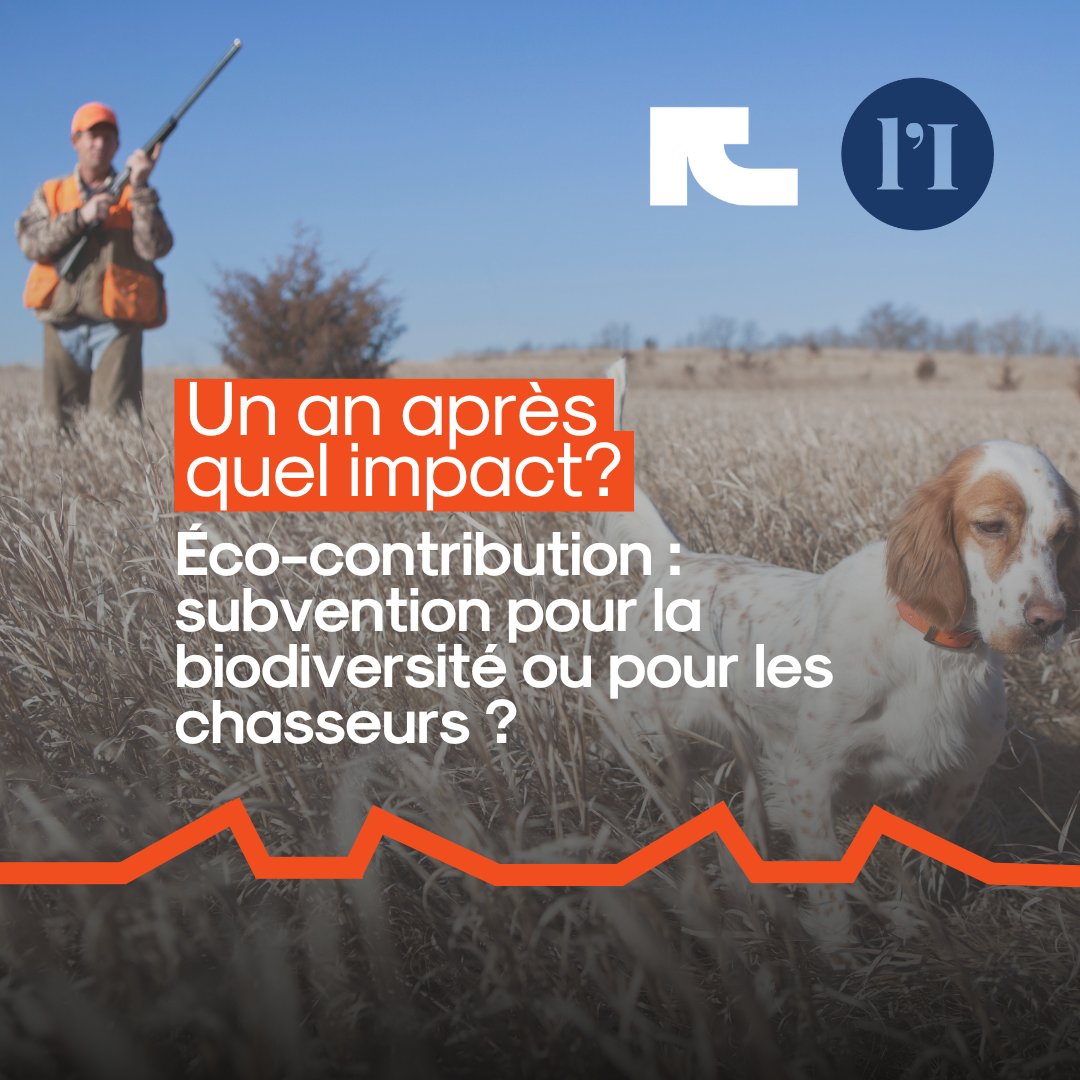 Transparence et efficacité des financements publics en question.  L'éco-contribution des chasseurs, censée soutenir la biodiversité, semble surtout profiter ... aux chasseurs eux-mêmes. 
💥 Retour sur l'impact de l'enquête d'<a href="/AlineRobert_/">Aline Robert</a> et <a href="/LInforme_/">l'Informé</a> rembobine.info/eco-contributi…
