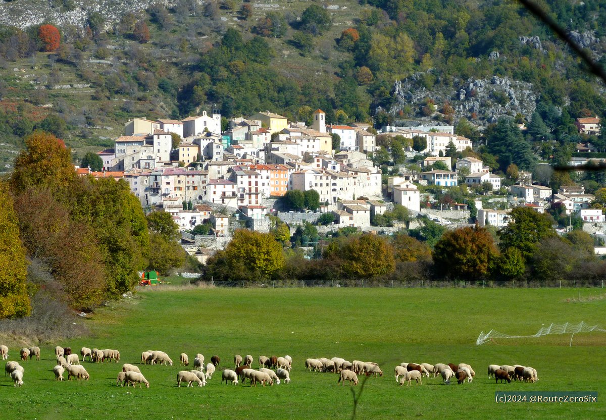 routezerosix's tweet image. Coursegoules bucolique 🐑

#Coursegoules #AlpesMaritimes #CotedAzurFrance #BaladeSympa #PreAlpesdAzur #RegionSud #animaux #moutons