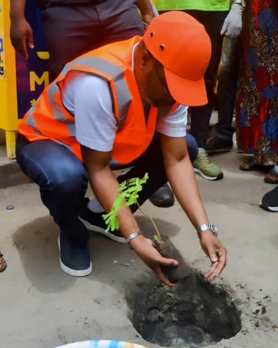 AssocATHAMMEnvi's tweet photo. @AssocATHAMMEnvi, en partenariat avec la mairie de Talangaï et l'école Joseph Perfection Éducation, a organisé une campagne de plantation d'arbres afin de sensibiliser les élèves et la jeunesse congolaise à l'importance de leur rôle dans la préservation de l'environnement. https://t.co/EWW8vIQUvQ