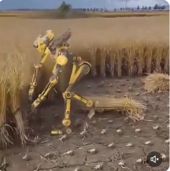 Times Wire tweet media